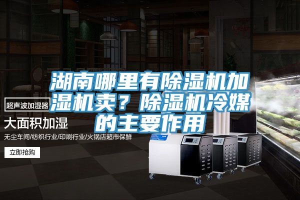 湖南哪里有除濕機加濕機賣？除濕機冷媒的主要作用