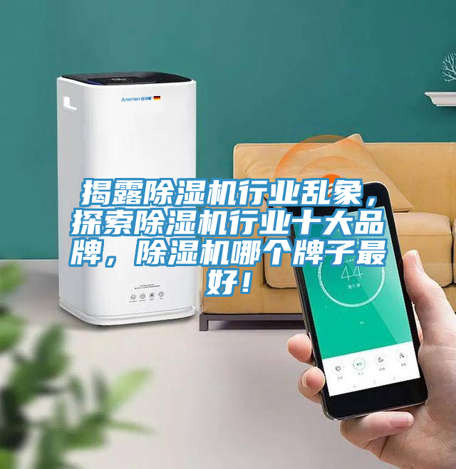 揭露除濕機行業(yè)亂象，探索除濕機行業(yè)十大品牌，除濕機哪個牌子最好！