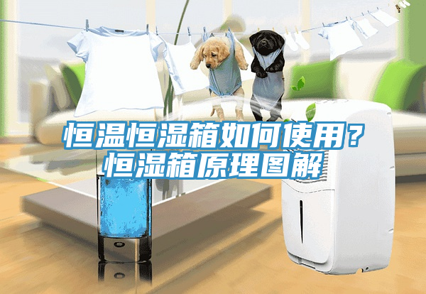恒溫恒濕箱如何使用？恒濕箱原理圖解