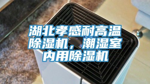 湖北孝感耐高溫除濕機，潮濕室內(nèi)用除濕機