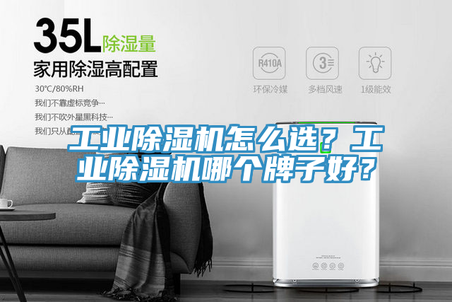 工業(yè)除濕機怎么選？工業(yè)除濕機哪個牌子好？