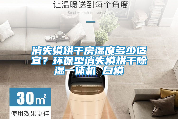 消失模烘干房濕度多少適宜？環(huán)保型消失模烘干除濕一體機(jī) 白模