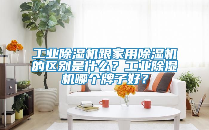 工業(yè)除濕機跟家用除濕機的區(qū)別是什么？工業(yè)除濕機哪個牌子好？