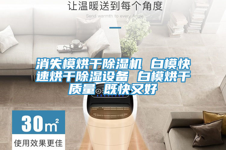 消失模烘干除濕機(jī) 白?？焖俸娓沙凉裨O(shè)備 白模烘干質(zhì)量 既快又好