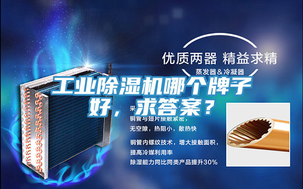 工業(yè)除濕機(jī)哪個(gè)牌子好，求答案？