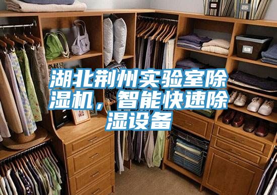 湖北荊州實驗室除濕機，智能快速除濕設(shè)備
