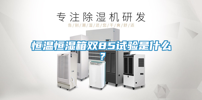 恒溫恒濕箱雙85試驗(yàn)是什么？