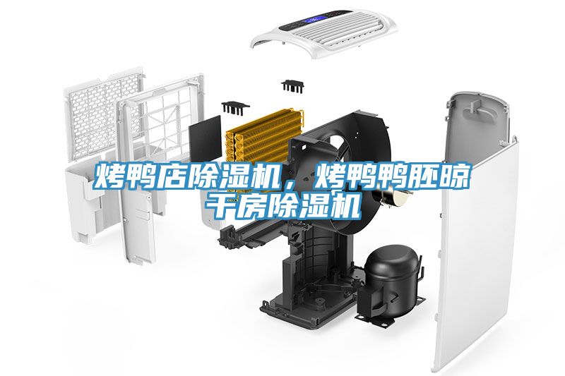 烤鴨店除濕機，烤鴨鴨胚晾干房除濕機