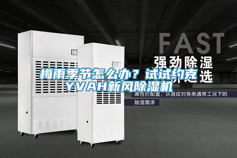 梅雨季節(jié)怎么辦？試試約克YVAH新風(fēng)除濕機(jī)