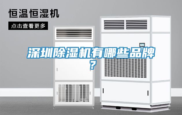 深圳除濕機(jī)有哪些品牌？