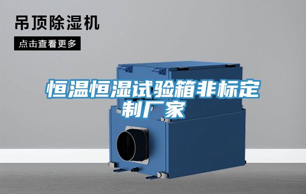 恒溫恒濕試驗(yàn)箱非標(biāo)定制廠(chǎng)家
