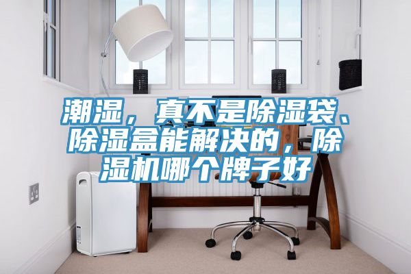 潮濕，真不是除濕袋、除濕盒能解決的，除濕機(jī)哪個牌子好