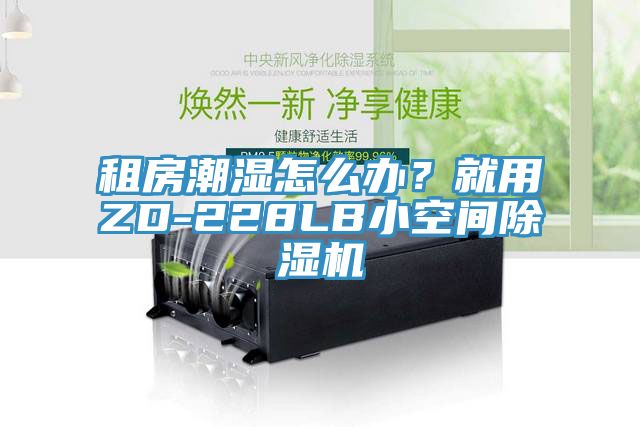 租房潮濕怎么辦？就用ZD-228LB小空間除濕機
