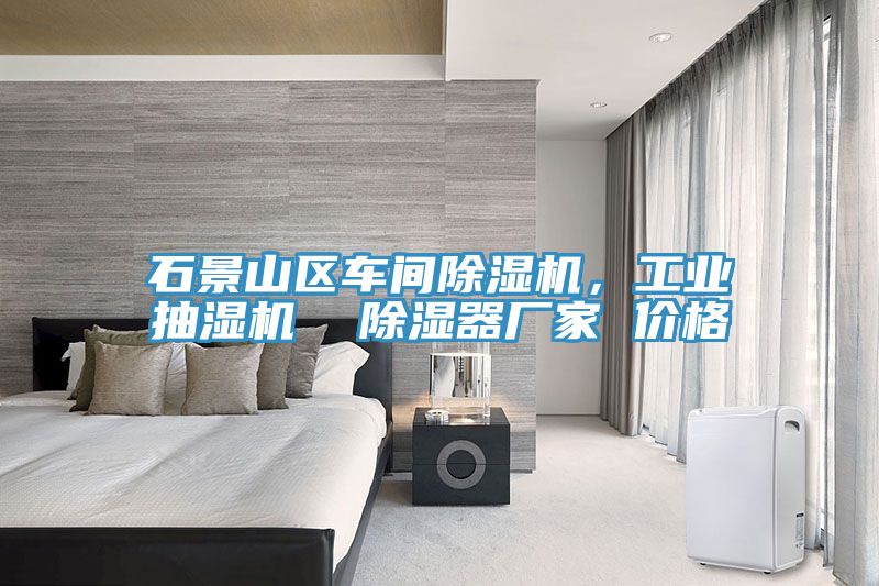 石景山區(qū)車間除濕機，工業(yè)抽濕機  除濕器廠家 價格