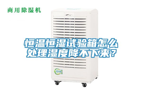 恒溫恒濕試驗(yàn)箱怎么處理濕度降不下來(lái)？