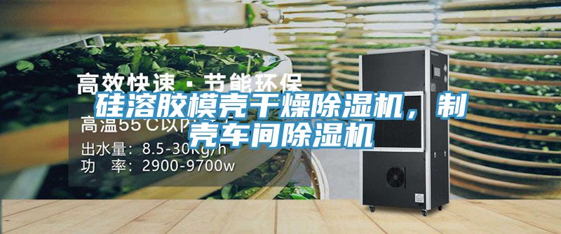 硅溶膠模殼干燥除濕機，制殼車間除濕機
