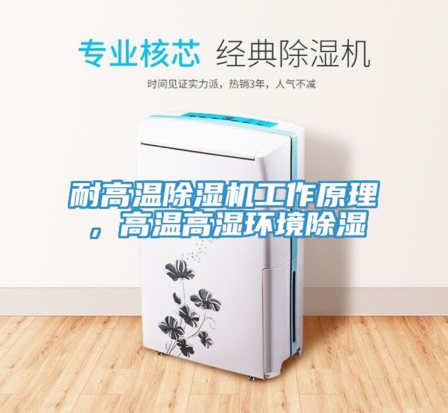 耐高溫除濕機(jī)工作原理，高溫高濕環(huán)境除濕