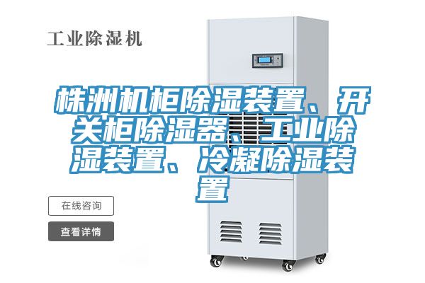 株洲機柜除濕裝置、開關(guān)柜除濕器、工業(yè)除濕裝置、冷凝除濕裝置
