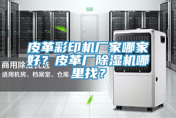 皮革彩印機廠家哪家好？皮革廠除濕機哪里找？
