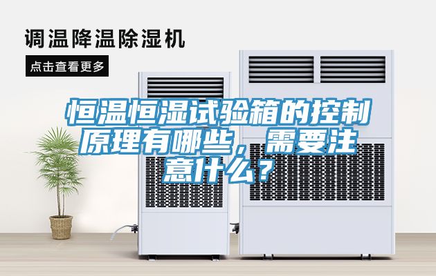 恒溫恒濕試驗箱的控制原理有哪些，需要注意什么？