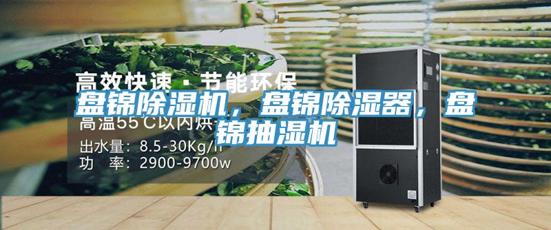 盤錦除濕機(jī)，盤錦除濕器，盤錦抽濕機(jī)