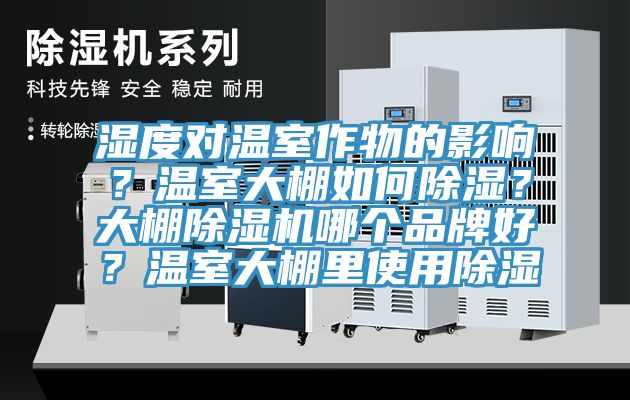 濕度對溫室作物的影響？溫室大棚如何除濕？大棚除濕機哪個品牌好？溫室大棚里使用除濕