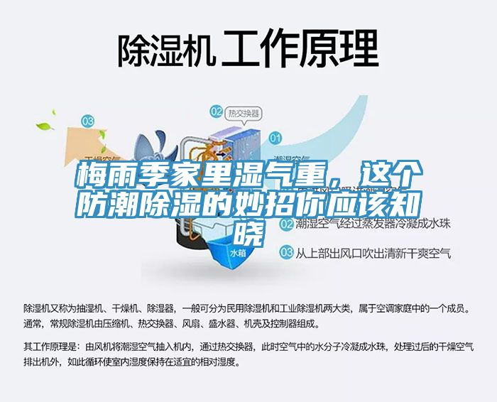 梅雨季家里濕氣重，這個防潮除濕的妙招你應(yīng)該知曉