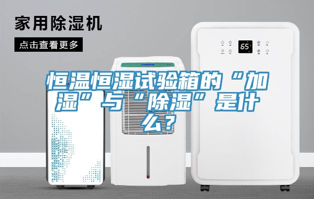 恒溫恒濕試驗箱的“加濕”與“除濕”是什么？