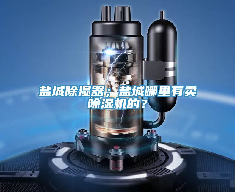 鹽城除濕器；鹽城哪里有賣除濕機(jī)的？
