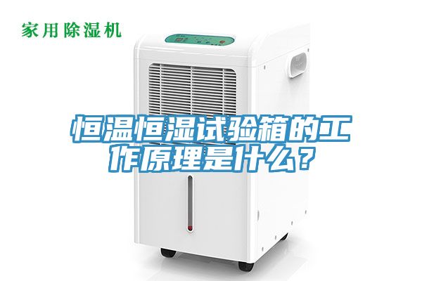 恒溫恒濕試驗(yàn)箱的工作原理是什么？