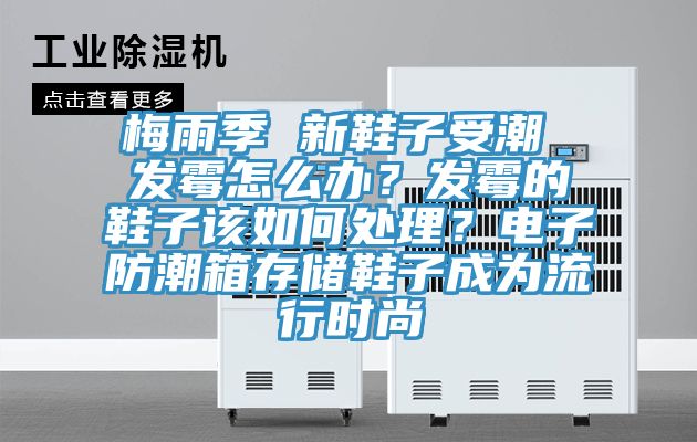梅雨季 新鞋子受潮 發(fā)霉怎么辦？發(fā)霉的鞋子該如何處理？電子防潮箱存儲(chǔ)鞋子成為流行時(shí)尚