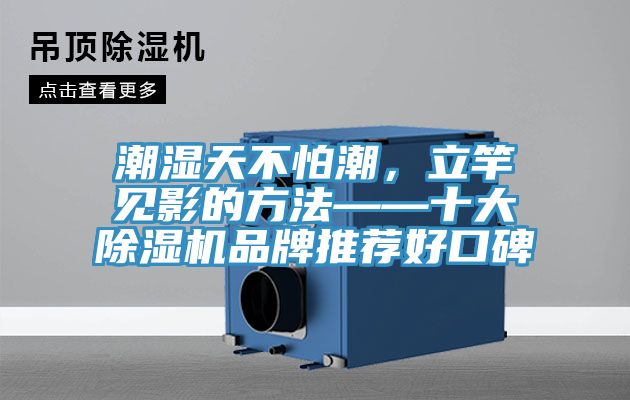 潮濕天不怕潮，立竿見影的方法——十大除濕機品牌推薦好口碑