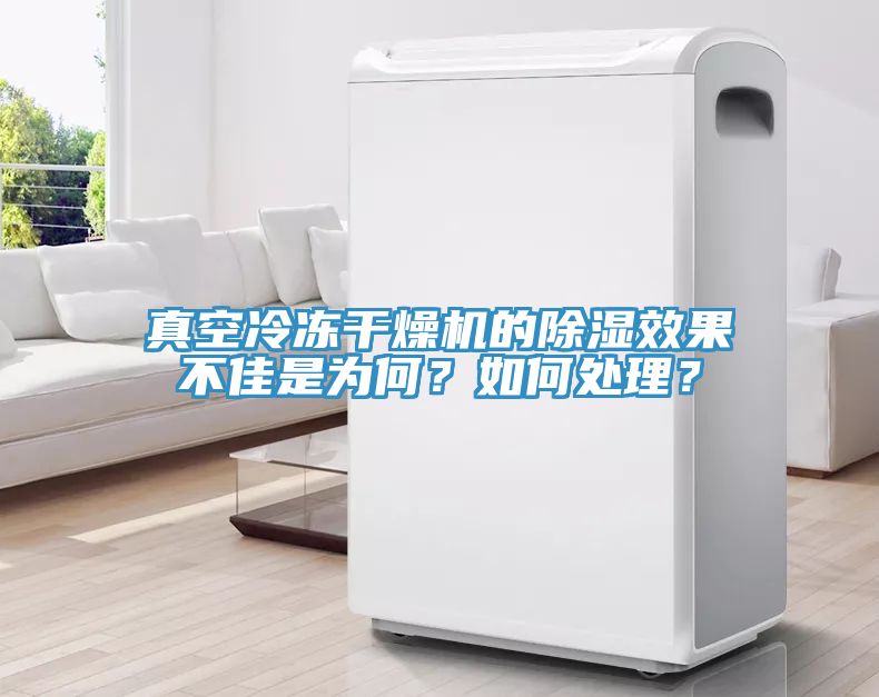 真空冷凍干燥機的除濕效果不佳是為何？如何處理？