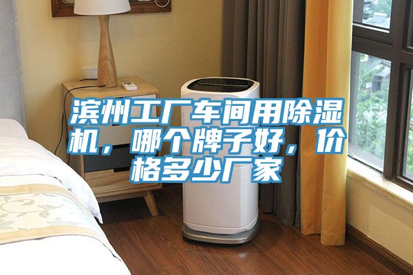 濱州工廠車間用除濕機(jī)，哪個(gè)牌子好，價(jià)格多少廠家