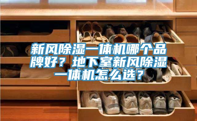 新風除濕一體機哪個品牌好？地下室新風除濕一體機怎么選？