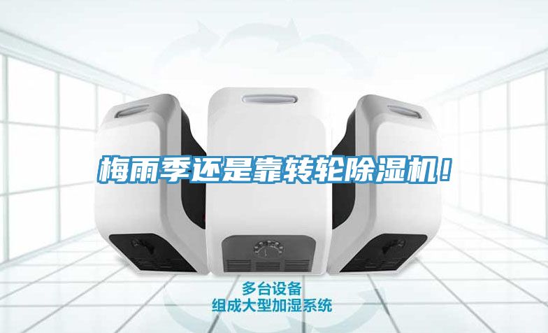 梅雨季還是靠轉(zhuǎn)輪除濕機(jī)！