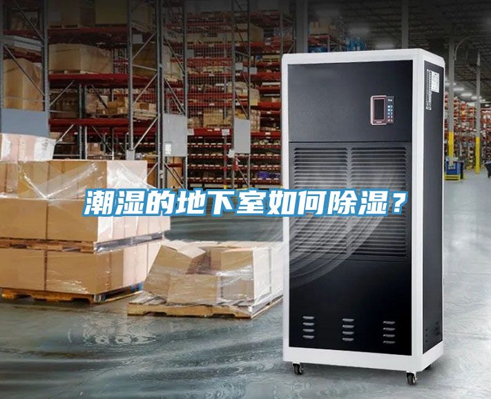 潮濕的地下室如何除濕？