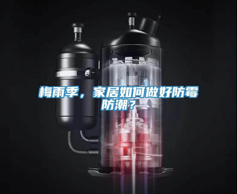 梅雨季，家居如何做好防霉防潮？