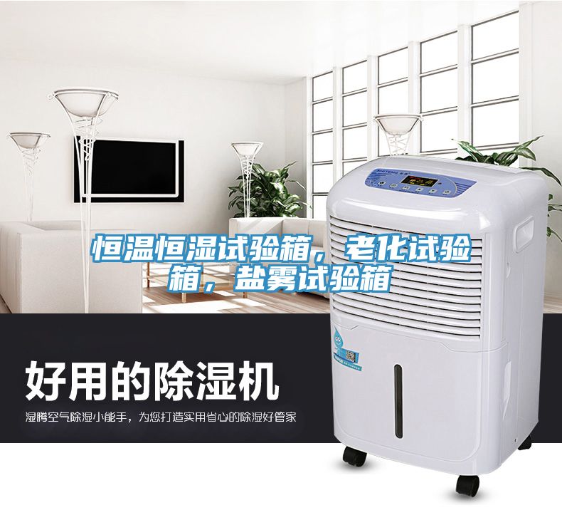 恒溫恒濕試驗箱，老化試驗箱，鹽霧試驗箱