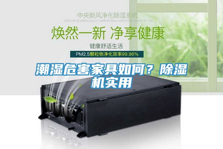 潮濕危害家具如何？除濕機實用