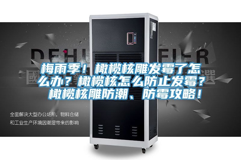 梅雨季！橄欖核雕發(fā)霉了怎么辦？橄欖核怎么防止發(fā)霉？ 橄欖核雕防潮、防霉攻略！