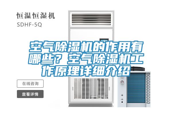 空氣除濕機的作用有哪些？空氣除濕機工作原理詳細介紹