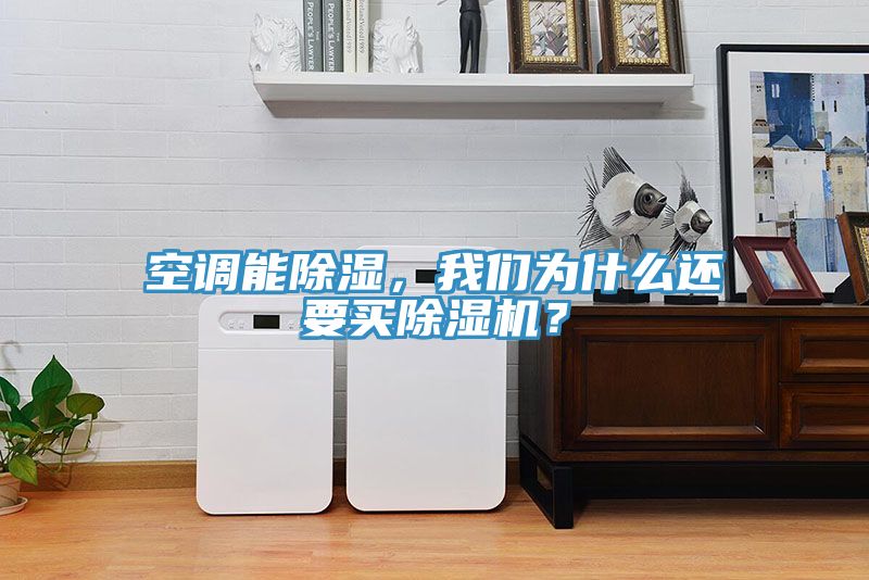 空調(diào)能除濕，我們?yōu)槭裁催€要買(mǎi)除濕機(jī)？
