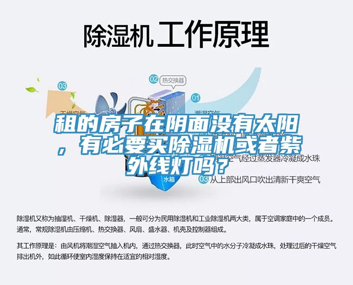 租的房子在陰面沒有太陽，有必要買除濕機或者紫外線燈嗎？