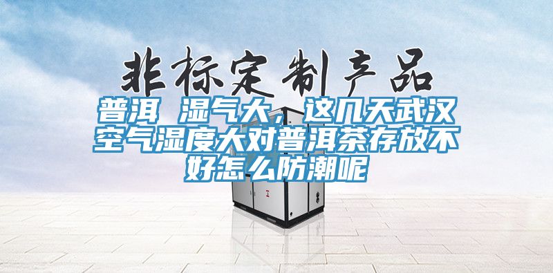 普洱 濕氣大，這幾天武漢空氣濕度大對普洱茶存放不好怎么防潮呢
