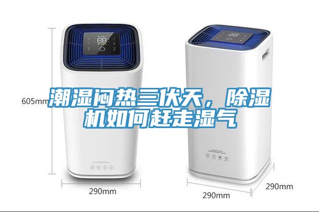 潮濕悶熱三伏天，除濕機(jī)如何趕走濕氣