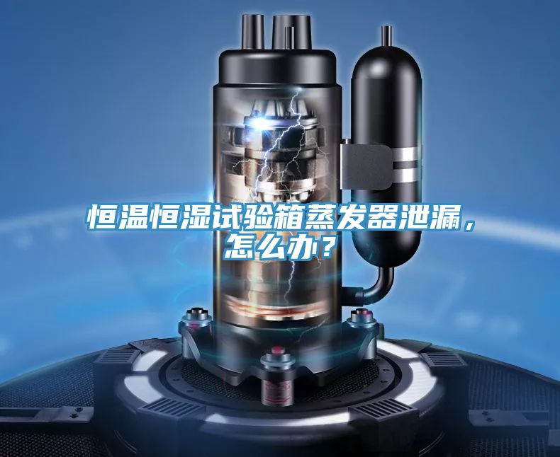 恒溫恒濕試驗箱蒸發(fā)器泄漏，怎么辦？
