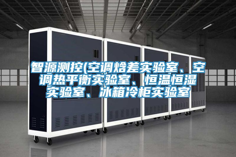 智源測控(空調(diào)焓差實驗室、空調(diào)熱平衡實驗室、恒溫恒濕實驗室、冰箱冷柜實驗室