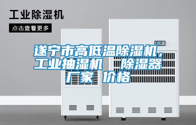 遂寧市高低溫除濕機(jī)，工業(yè)抽濕機(jī)  除濕器廠家 價(jià)格