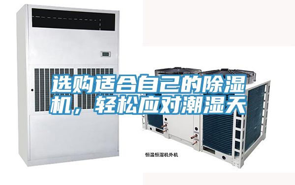 選購適合自己的除濕機，輕松應對潮濕天